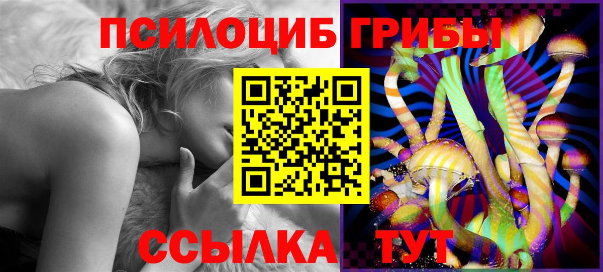 цены наркотик  Псилоцибиновые грибы ЛСД  Вход с VPN  Верхняя Пышма 